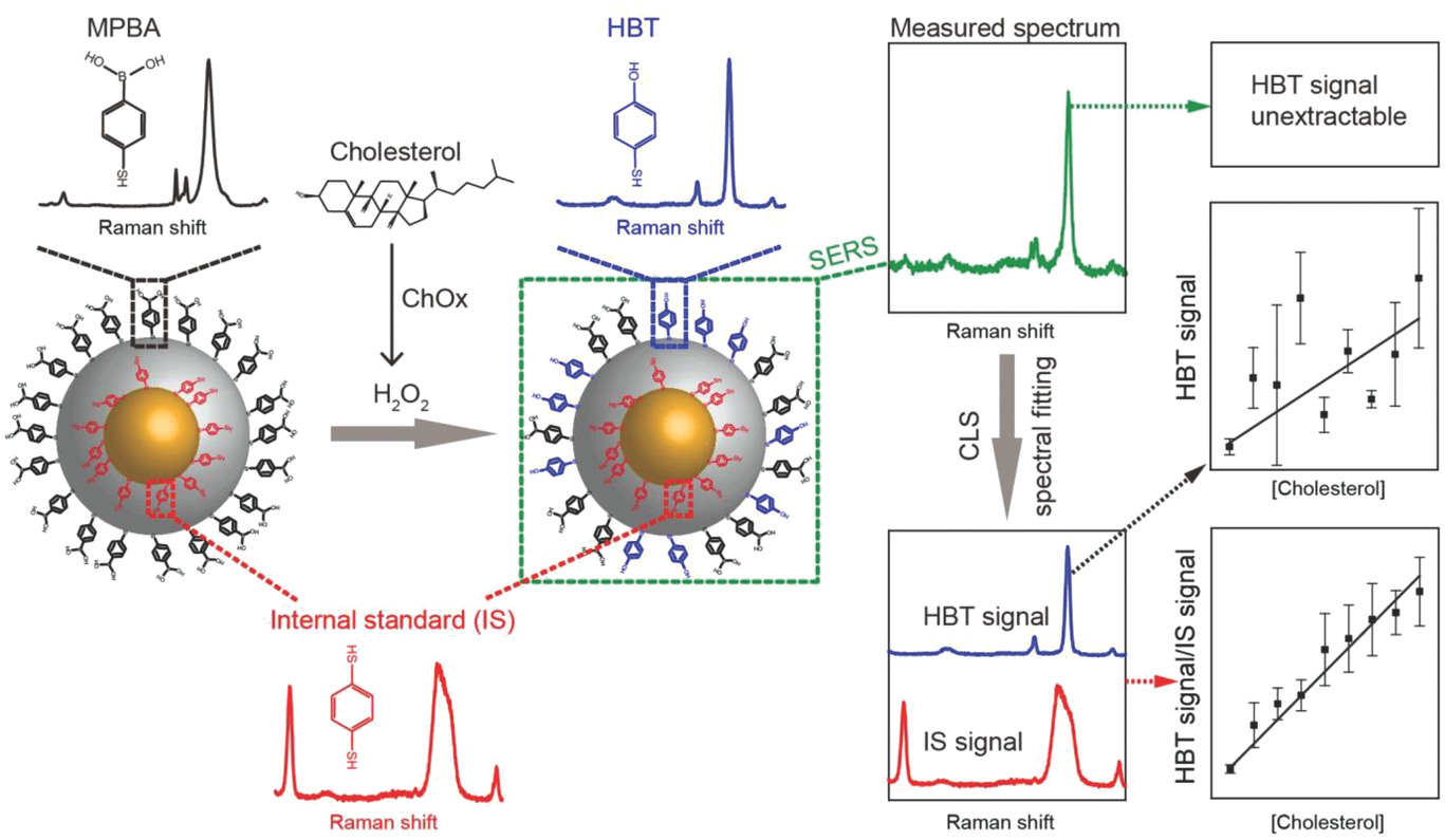 Surface‐Enhanced Raman Nanoprobes with Embedded Standards for Quantitative Cholesterol Detection