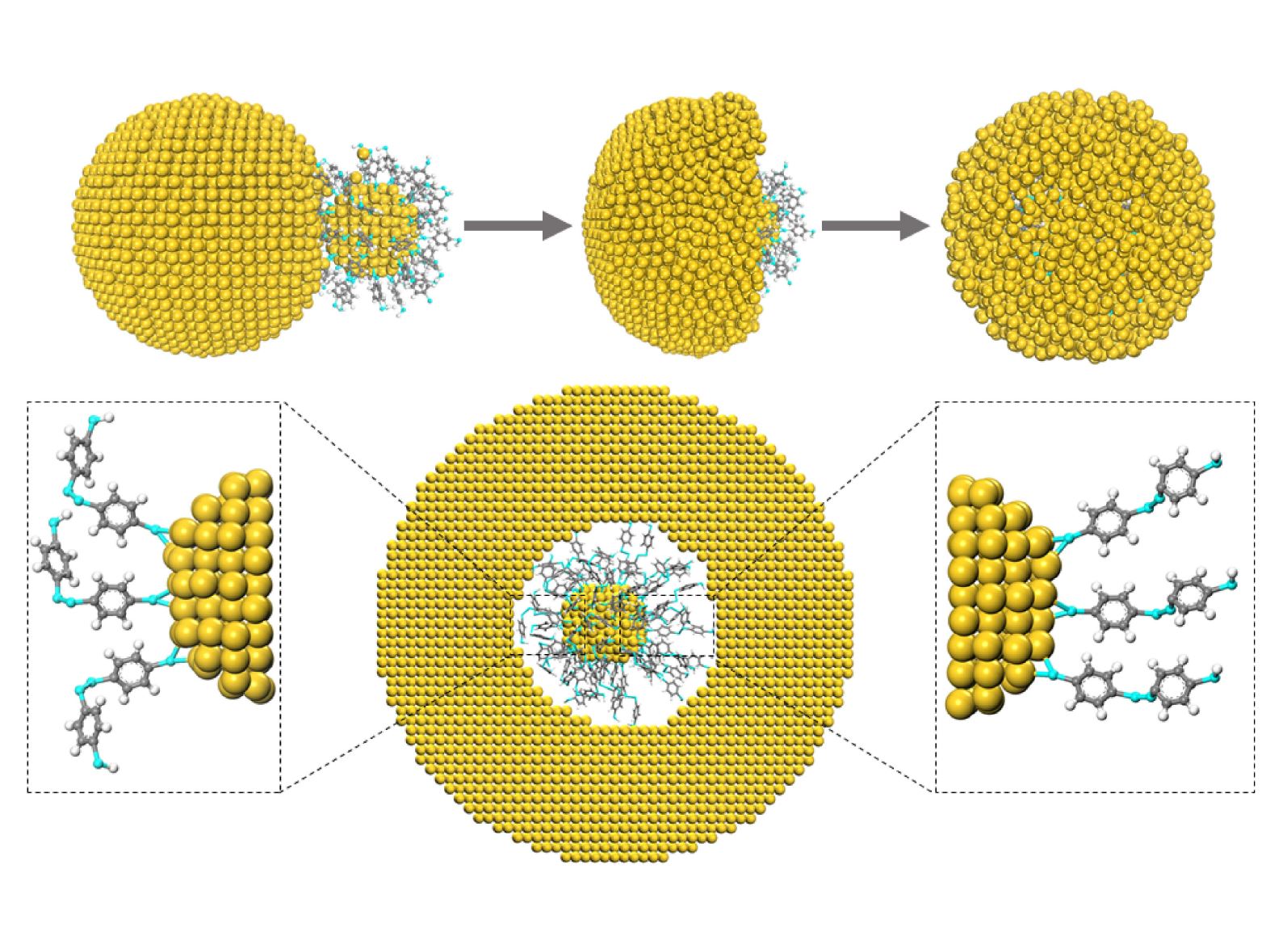 Atomic Insights into the Evolution of Three-Dimensional Molecular Junctions in Plasmonic Core–Shell Nanoparticles