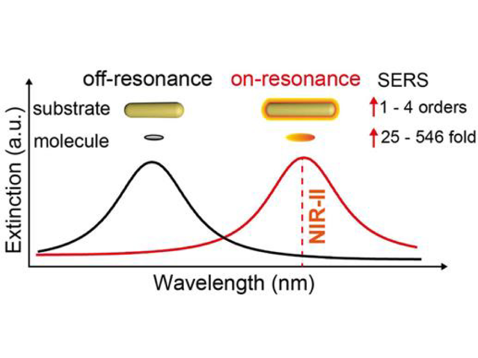 Resonant Strategy in Designing NIR-II SERS Nanotags: A Quantitative Study