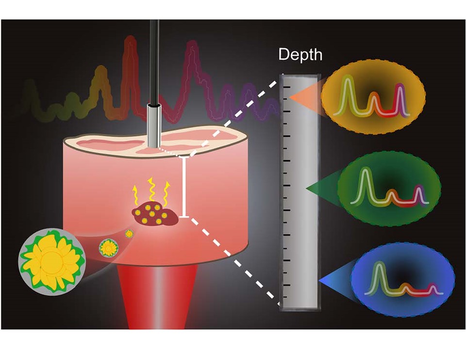 A rapid and universal method for depth estimation of lesions in heterogeneous tissues via photosafe ratiometric transmission Raman spectroscopy