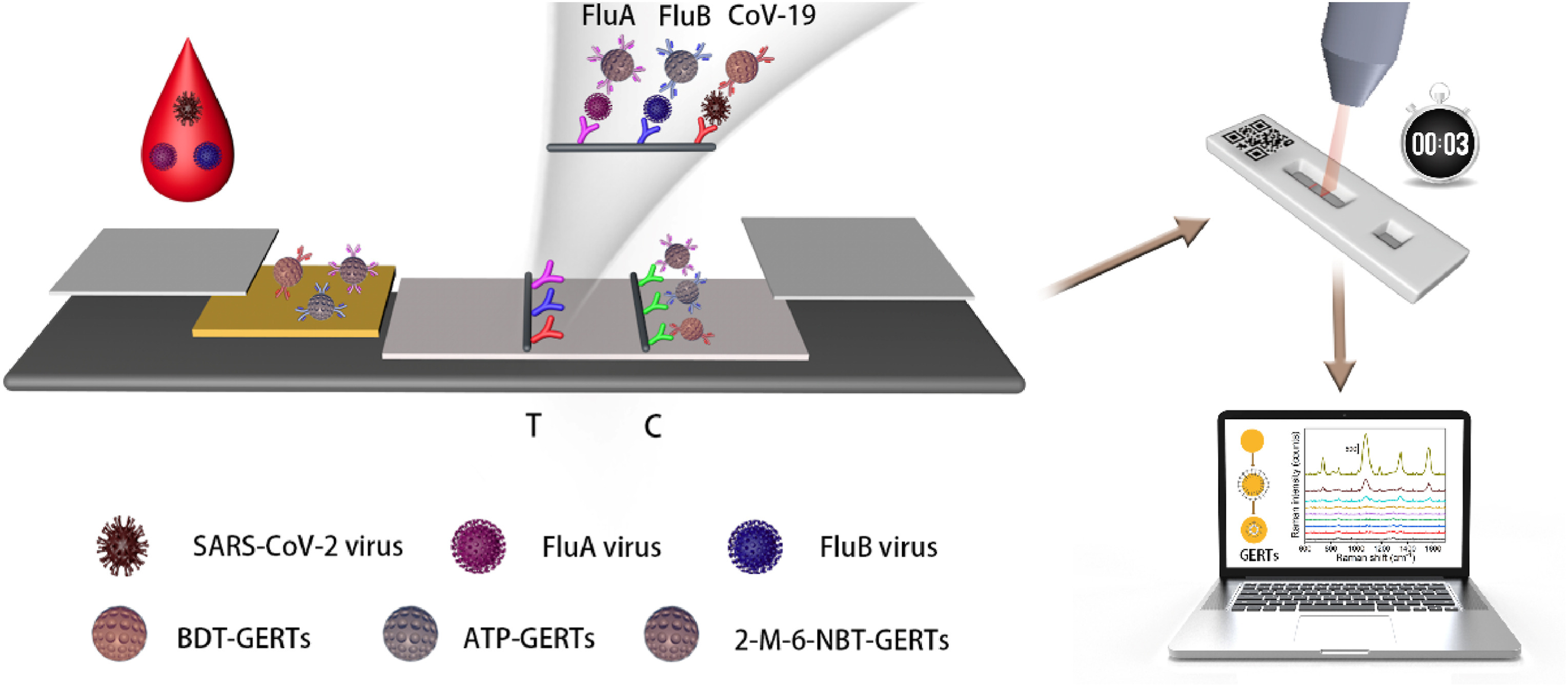 Multiplexed lateral flow immunoassays using high photostability gap-enhanced Raman nanotags: Highly sensitive, rapid, efficient and portable point-of-care tests